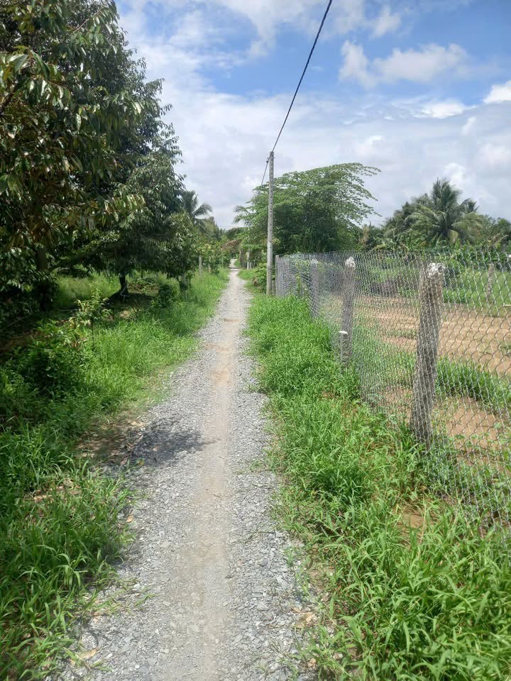 Bán Gấp 2 Nền Liền Kề Nhị Quý, Tiền Giang - 145m² - Sổ Hồng Sẵn Sàng