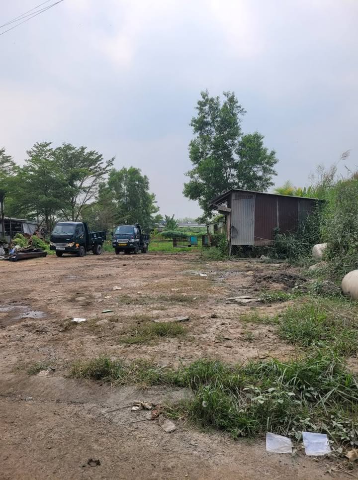 Đất nền Nhà Bè 9000m² - Sổ đỏ chính chủ, đường xe tải lớn!