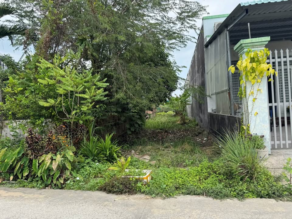 Đất nền Tân An 165m² - Sổ đỏ chính chủ, ô tô vào tận nơi!