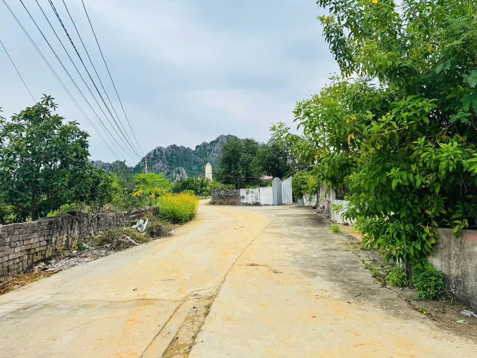 Nhà 2 Tầng Kim Bào Kinh Môn 318m² - Vị trí đẹp, chia lô tiềm năng!