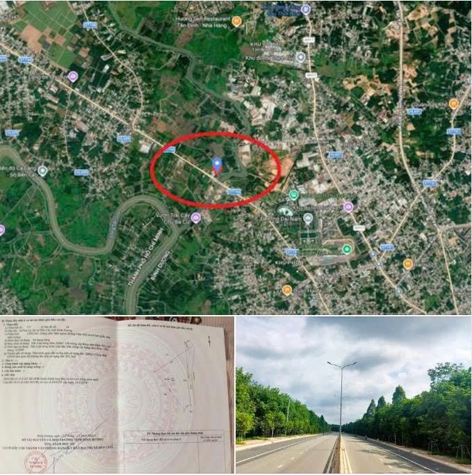 Đất Vàng DT744 - 1100m² Mặt Tiền Sông 55m - 2 Tỷ Đầu Tư Sinh Lời