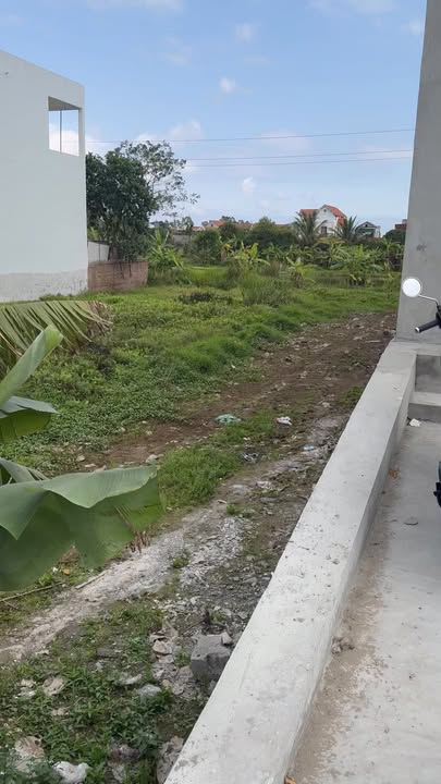 Đất Vàng Xã Khánh Hội, Ninh Bình - 290m² Mặt Tiền Kinh Doanh, Sổ Đỏ