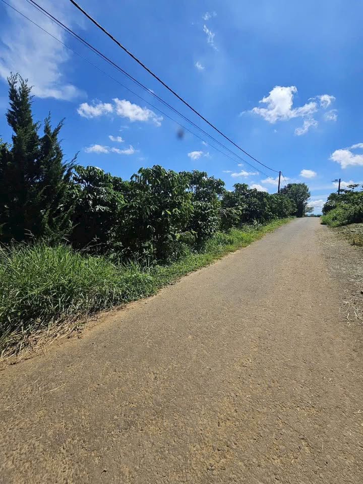 Bán gấp lô đất Lộc An, Bảo Lâm 88m² - Giá cắt lỗ chỉ 600 triệu