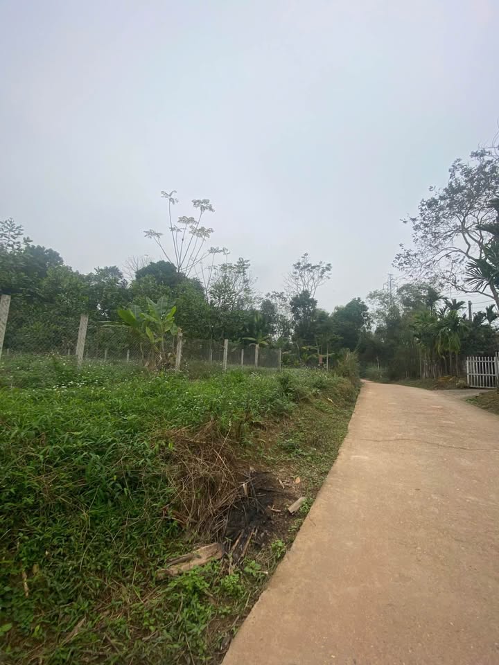 Đất nền Trung Môn, Yên Sơn 450m² - Tiềm năng tăng giá vượt trội!