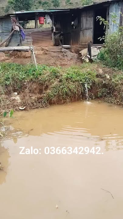 Đất Đạ Tông Đam Rông 1.8 sào 400 triệu - Sổ đỏ chính chủ