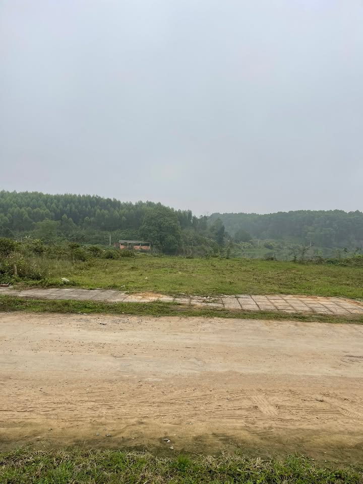 Đất Nền Mặt Tiền Hồ Phù Ninh, Phú Thọ - 400m² Full Thổ Cư, Sẵn Sàng Đầu Tư