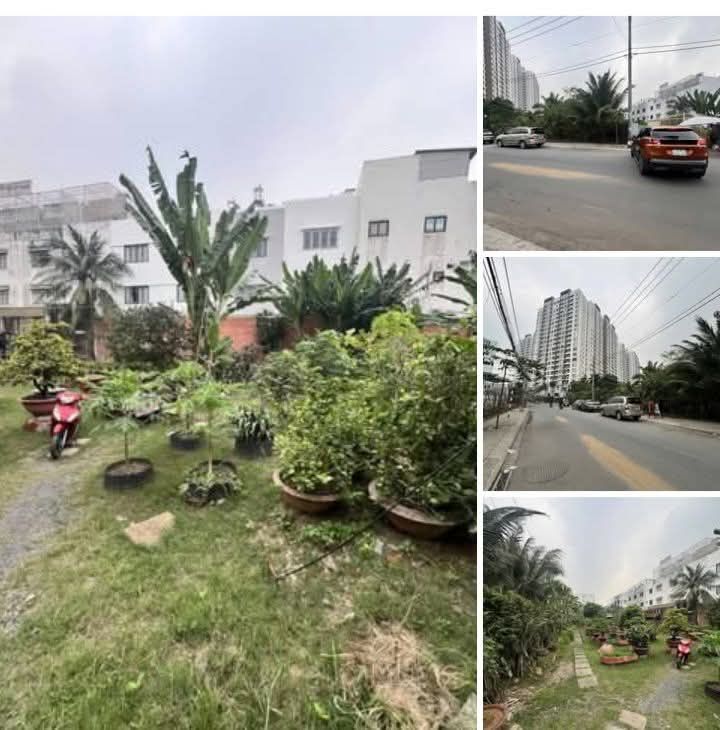 Đất Vàng MT Lê Tấn Bê Bình Tân 1900m² - Sát Akari, Giá Tốt