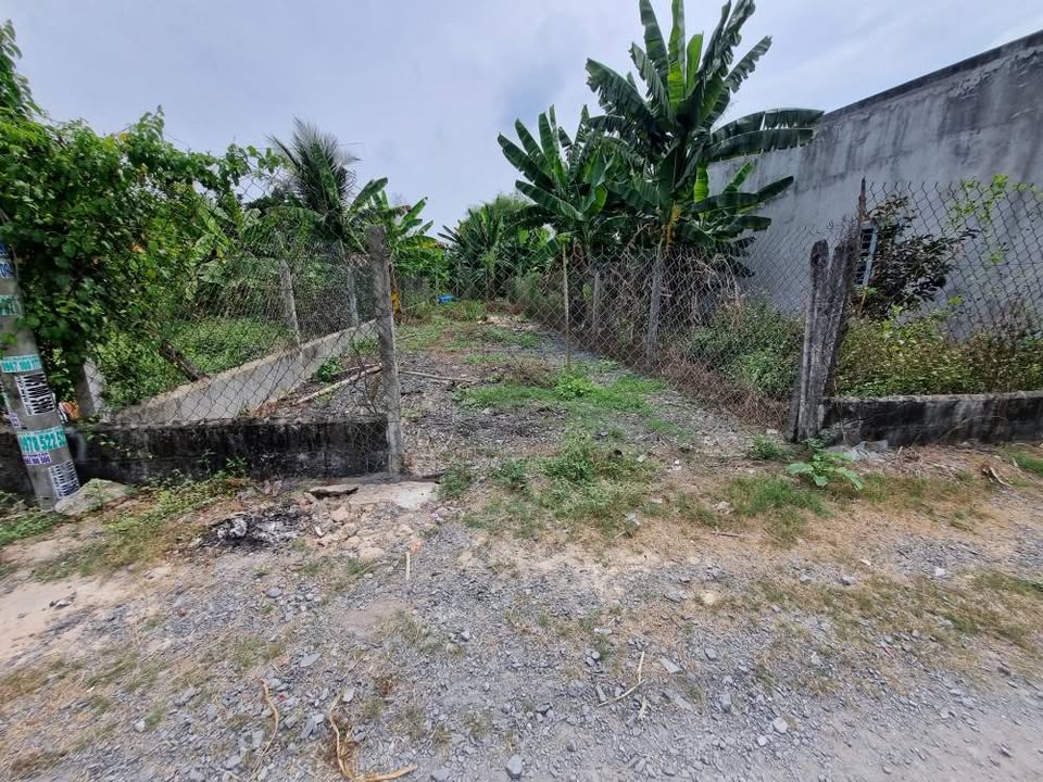 Bán Đất Củ Chi 125m² Sổ Đỏ, Gần Nguyễn Thị Lắng - Giá Tốt