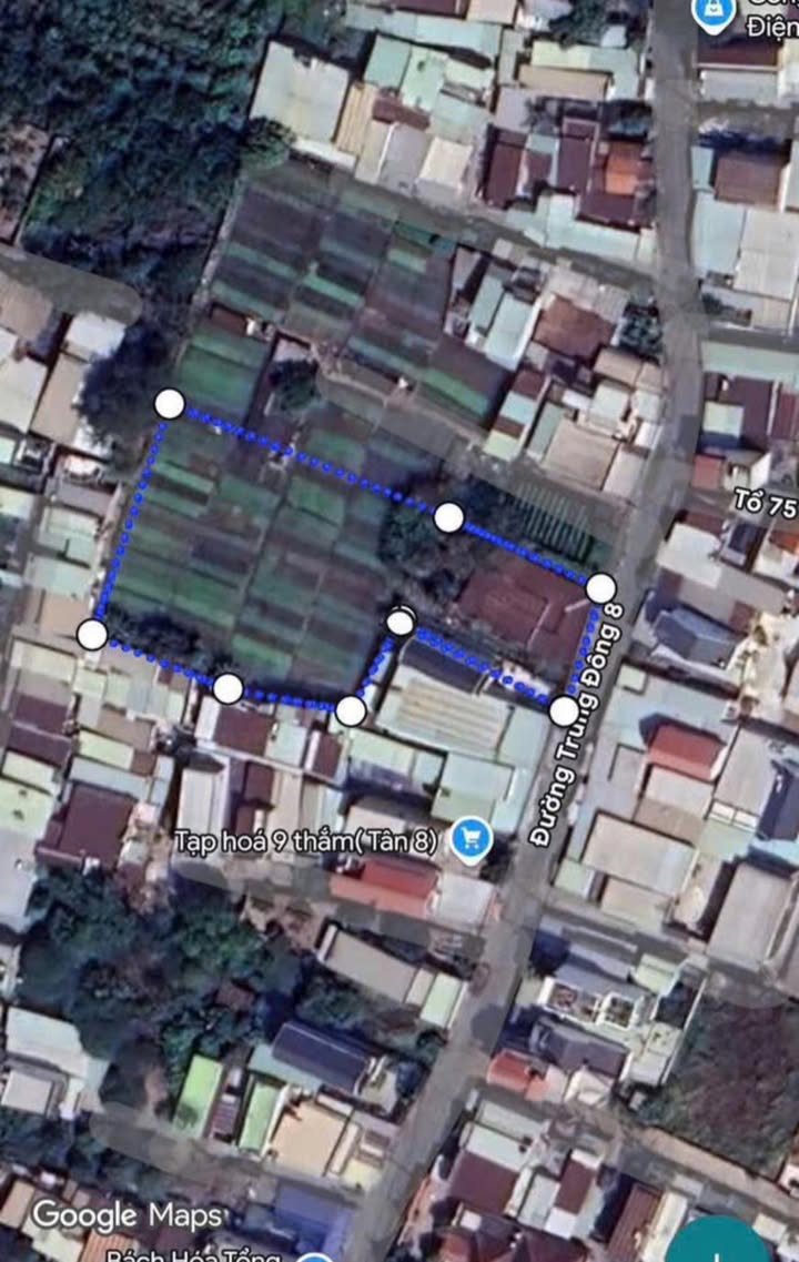 Bán Gấp Đất Vườn 3000m² Mặt Tiền Trung Đông 08, Hóc Môn - Giá Tốt