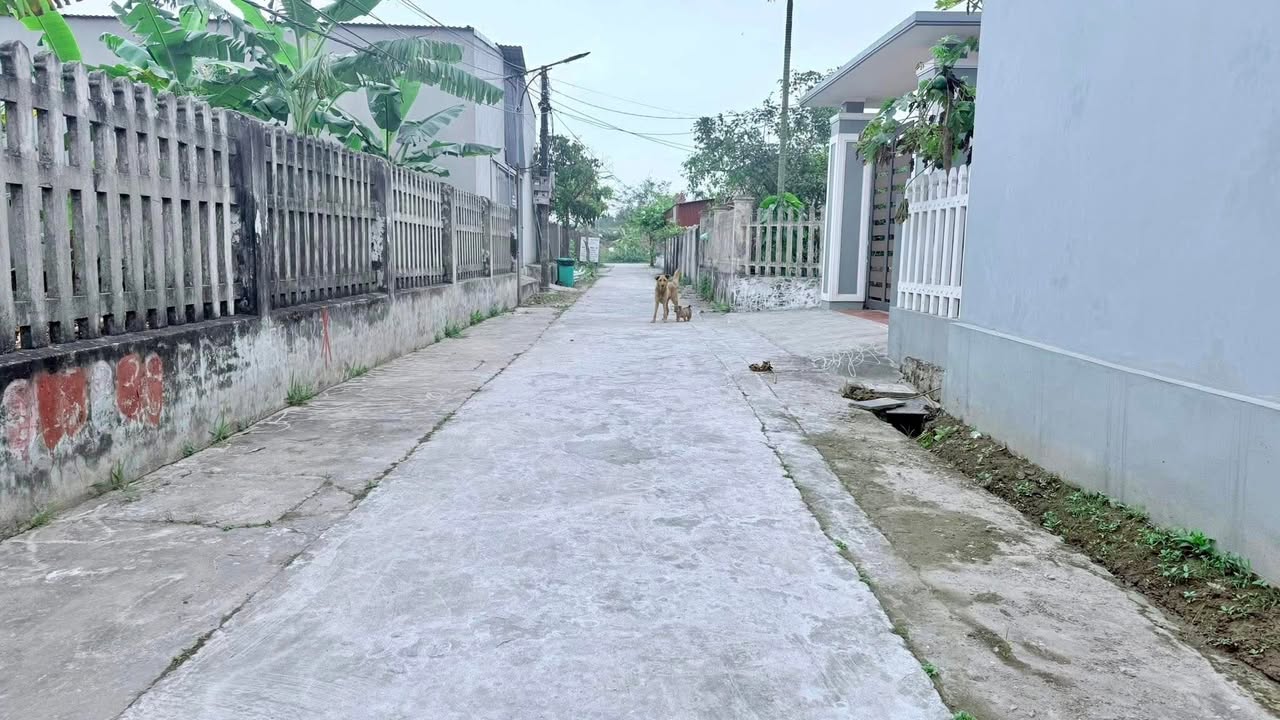 Đất nền Rạng Đông 127m² - Sổ đỏ chính chủ, giá 1.2 tỷ