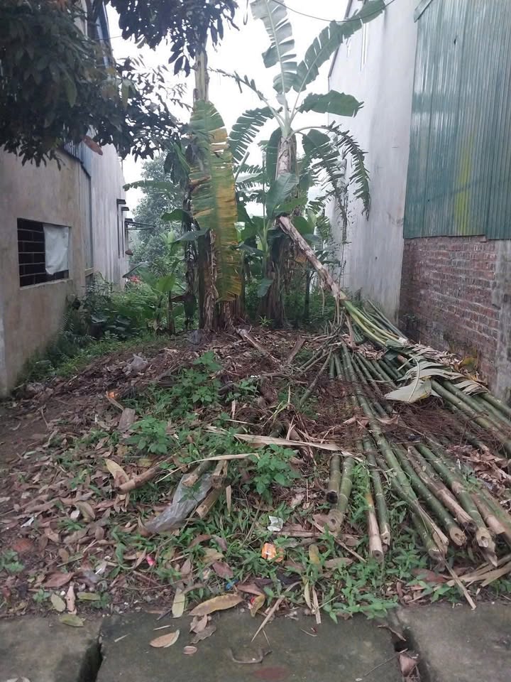 Đất nền 228m² QL70B Hạ Hoà, Phú Thọ - Sổ đỏ chính chủ