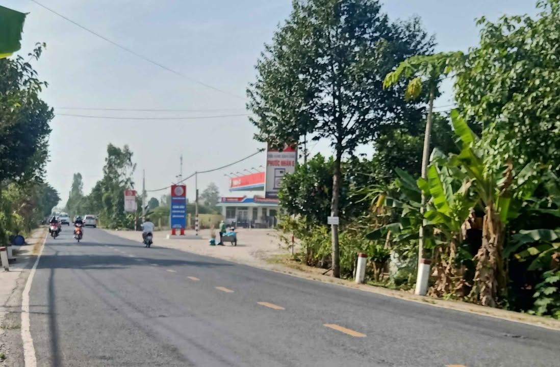 Bán Đất 5500m² Mặt Tiền DT 856, Cao Lãnh - Tiềm Năng Kinh Doanh Vượt Trội