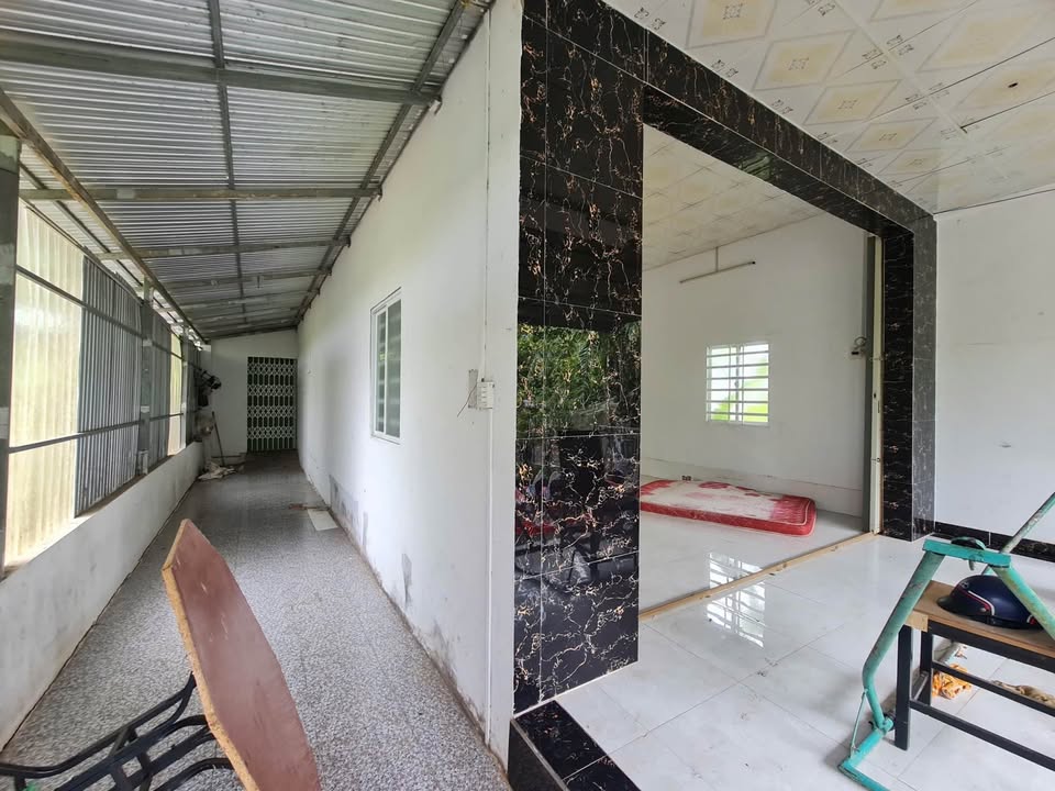 Bán Gấp Nhà Mặt Tiền 730m² Tân Phú, Lai Vung - Giá Đầu Tư 800 Triệu