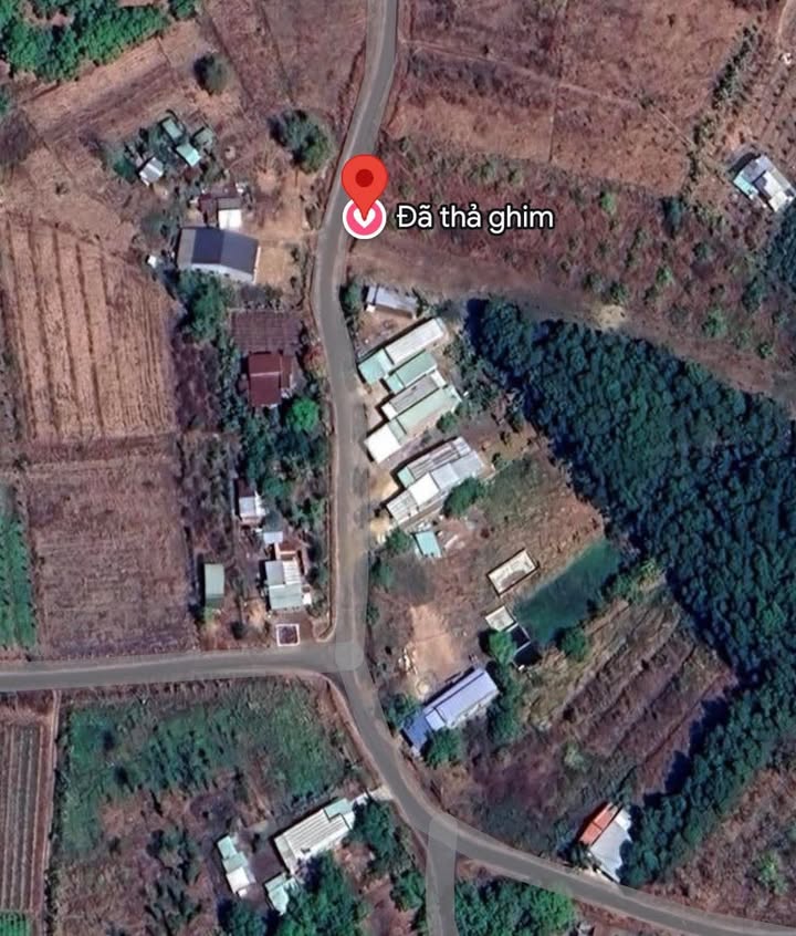 Đất vườn 936m² Thanh Hòa, Bù Đốp - Tiềm năng tăng giá!