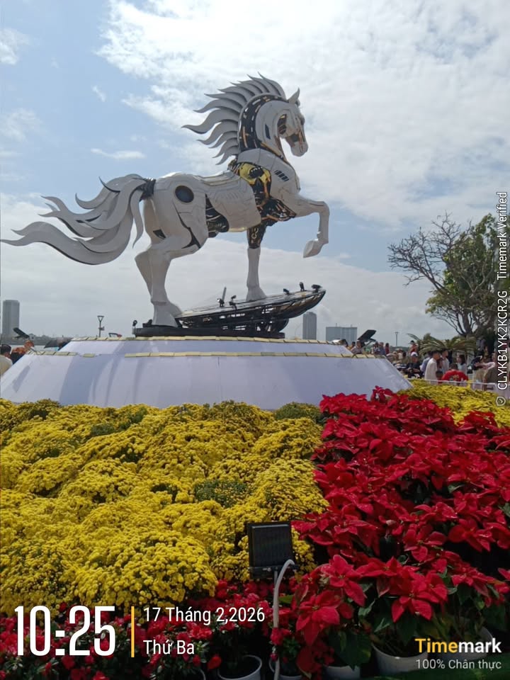 Đất nền Cẩm Lệ, Đà Nẵng - 250m² Mặt tiền Trần Quang Long - Giá 13.7 tỷ