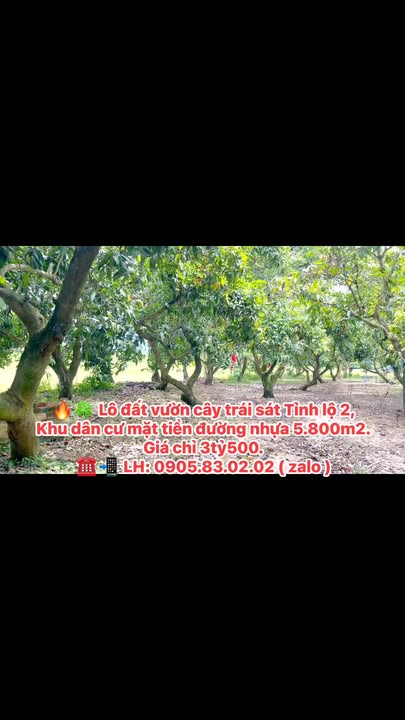 Đất Vườn 5800m² Mặt Tiền Tỉnh Lộ 2, Hà Nội - Giá Đầu Tư 3.5 Tỷ