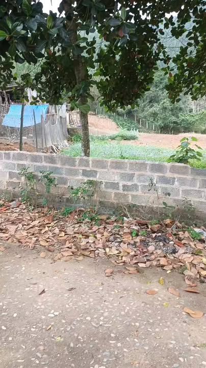 Đất nền Thanh Sơn Phú Thọ 1500m² - Tiềm năng tăng giá vượt trội!