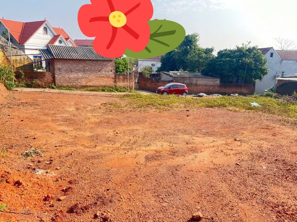 Đất Lục Nam 200m² - Sổ Đỏ Sẵn Sàng - Gần Trục Xã, Chợ
