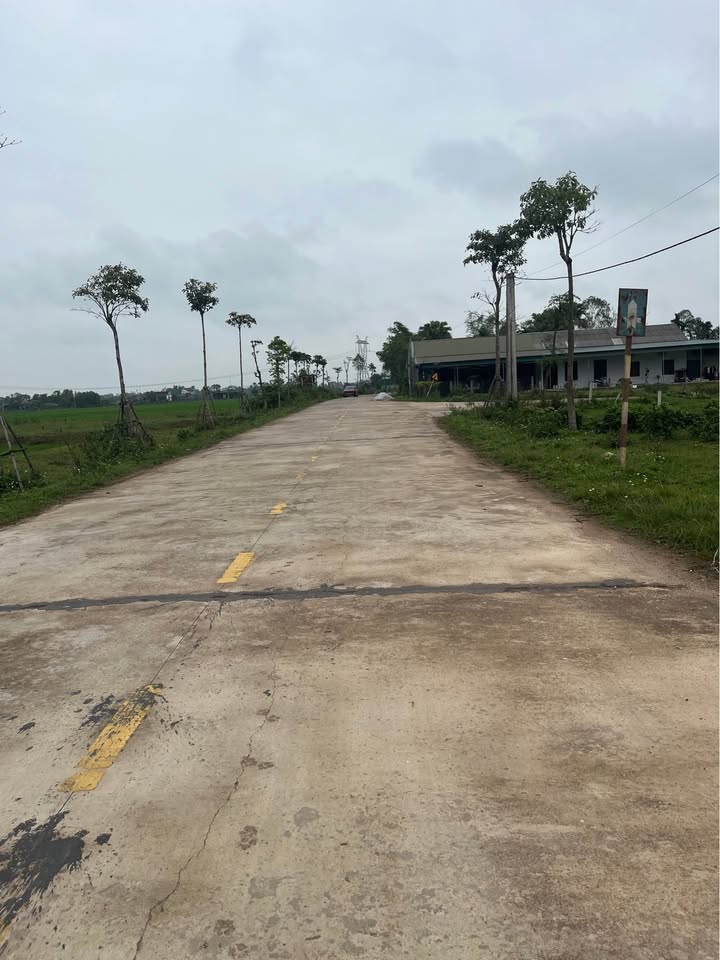 Đất Nền Nghi Xuân 260m² - Tiềm Năng Tăng Giá Vượt Trội!