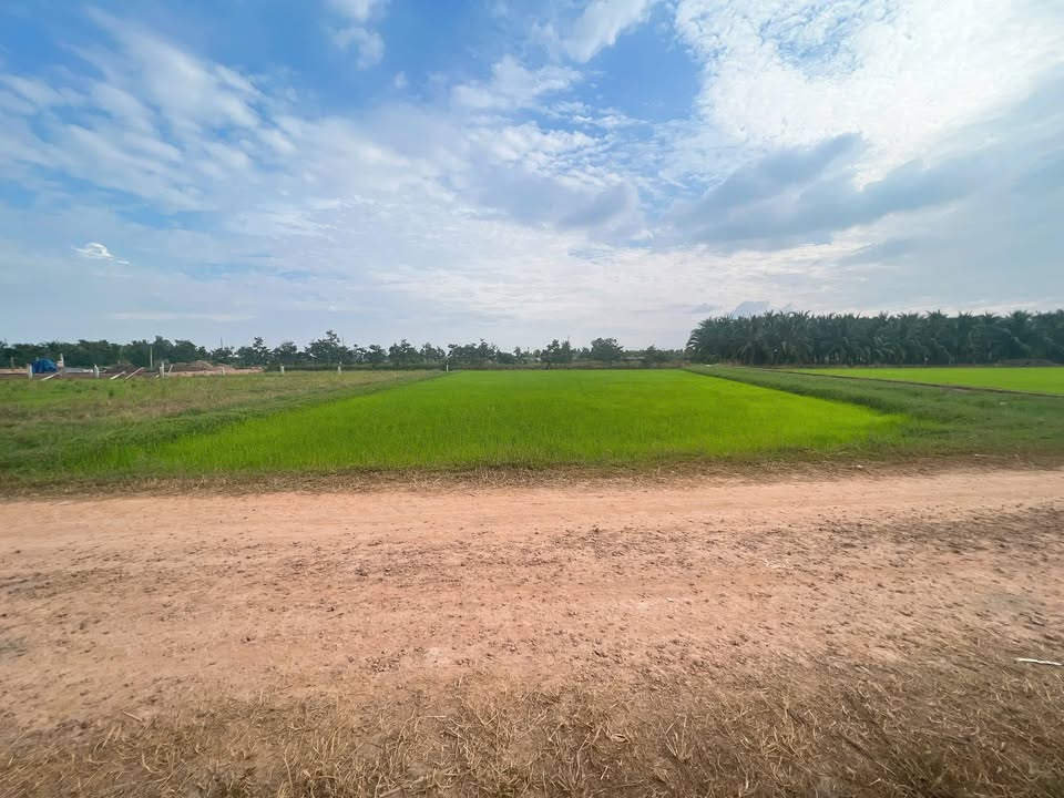 Đất Nền Bến Cầu - 2 Lô Vuông Vắn 200m² Thổ Cư, Sổ Sẵn, Giá Đầu Tư 345 Triệu