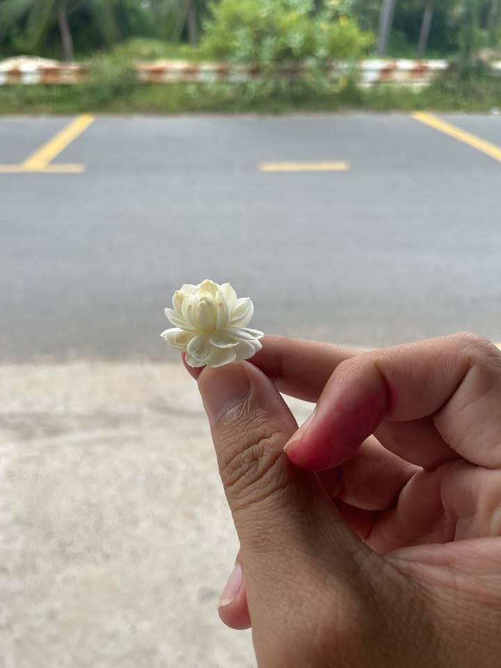 Đất nền Hàm Tiến 4700m² - Tiềm năng tăng giá vượt trội!