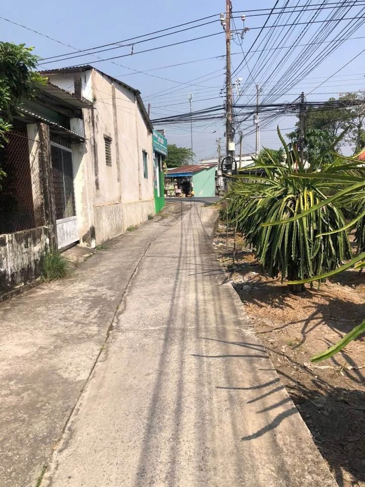 Đất nền Bình Tâm, Tân An 243m² giá 1 tỷ - Đường to ô tô, Sổ đỏ chính chủ