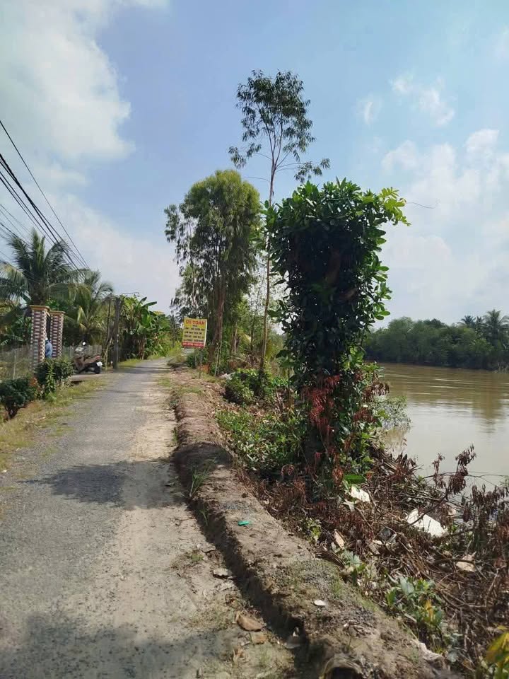 Bán đất vườn Phú Đức Long Hồ 5000m² giá 1.6 tỷ - Đầu tư sinh lời