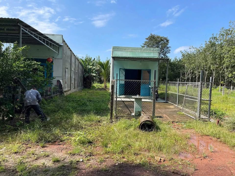 Đất nền An Lập, Dầu Tiếng 4466m² – Đất thổ cư 100%!