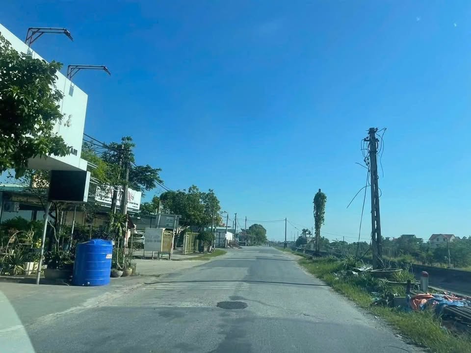 Đất Cẩm Hoàng 83m² mặt đường TL - Tiềm năng tăng giá vượt trội!