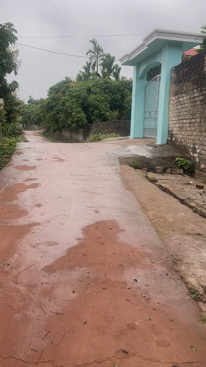 Nhà 200m² Tân Yên, Bắc Giang - Giá chỉ 500 triệu - View đồng thoáng đãng