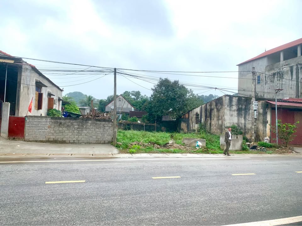 Bán Đất Cẩm Tân, Thanh Hóa - Hơn 1 Tỷ/Lô - Mặt Tiền QL217