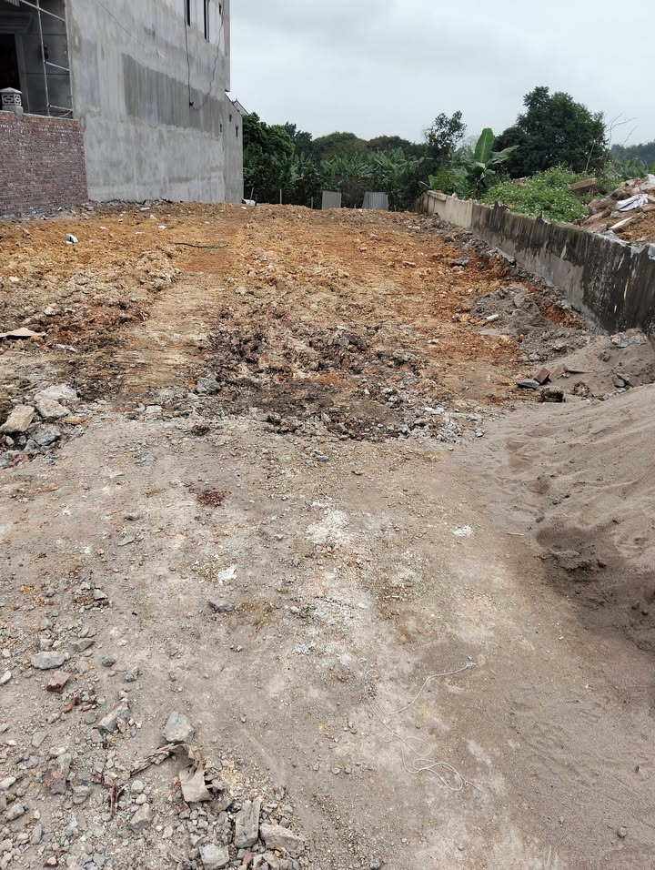 Đất nền Tòng Bạt Ba Vì 331m² - Sổ đỏ chính chủ, giá F0 đầu tư tốt