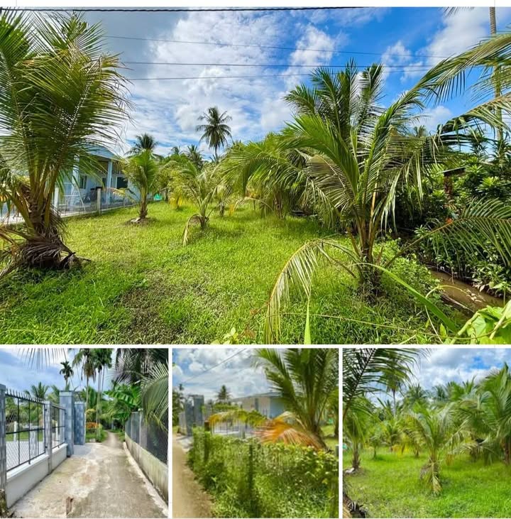 Đất nền Long Hưng, Châu Thành 506.3m² - Đất thổ cư 100%