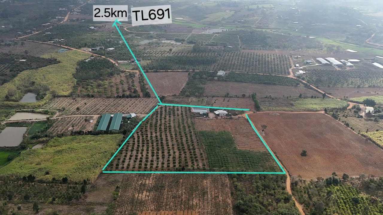 Bán Gấp 2.2ha Đất Đỏ Mỡ Gà Đắk Lắk - Vườn Đa Canh Thu Nhập Ổn Định