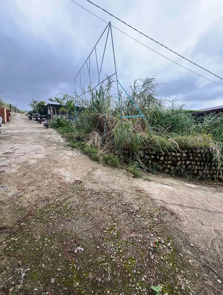 Đất Vàng Đà Lạt 60m² - 2 Mặt Hẻm Ô Tô, View Thoáng, Giá 1.1 Tỷ