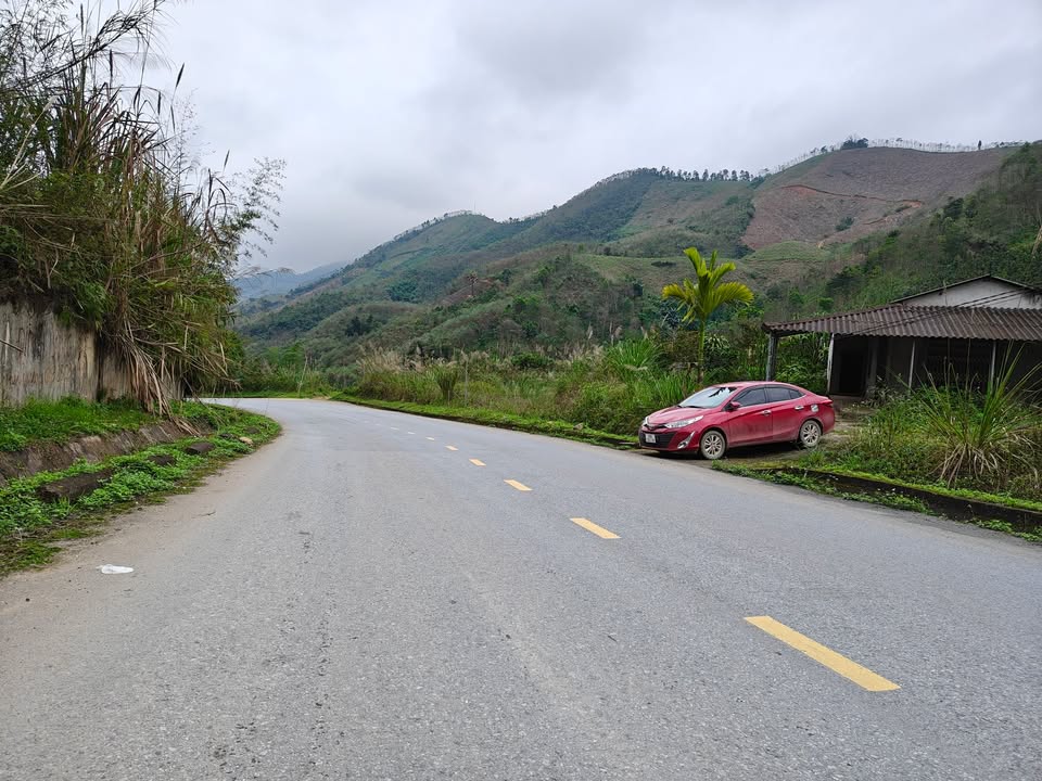 Đất Vàng QL 32 Phú Thọ - 1000m² Mặt Tiền Kinh Doanh, Giá 990 Triệu