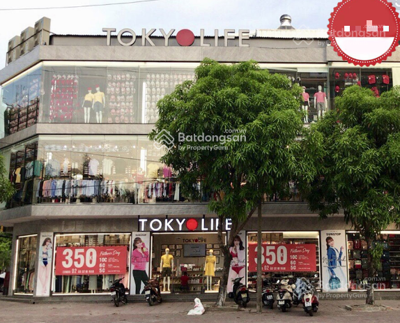 Nhà Mặt Phố Nguyễn Khánh Toàn 265m² - Mặt Tiền Kinh Doanh Vàng!