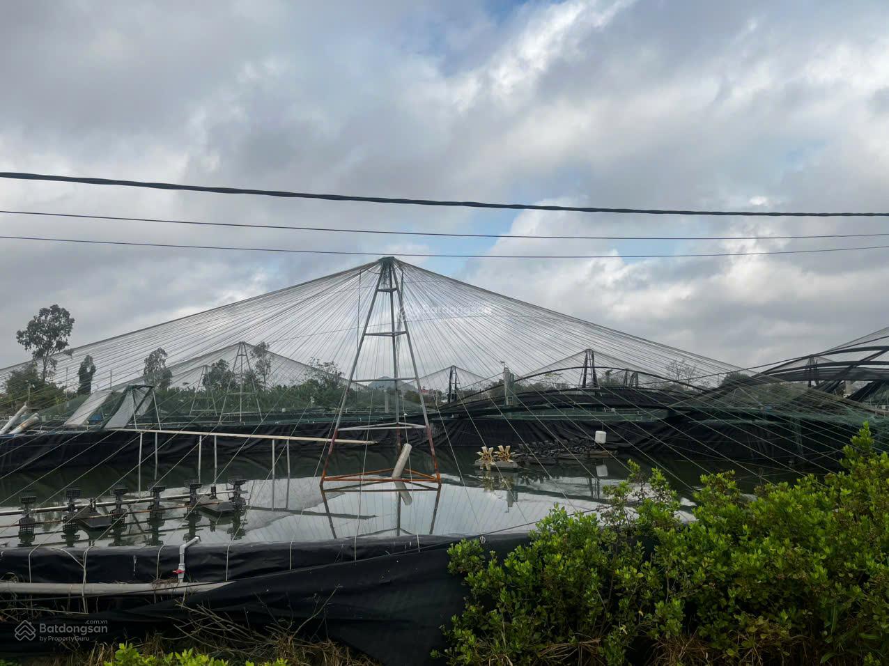 Trang trại tôm Nga Sơn 3.2ha - Hoạt động ngay, sinh lời bền vững!