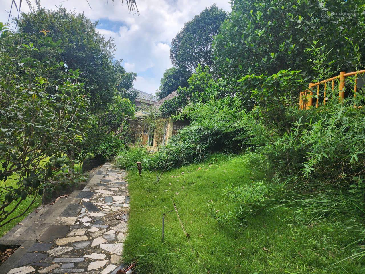 Đất Nền Cổ Rùa Phú Mãn 5.876m² - Đầu Tư Sinh Lời Vượt Trội!