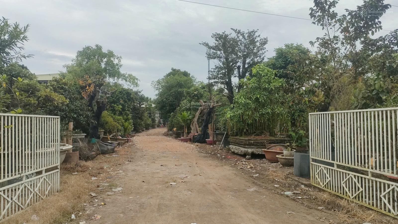 Đất nền Quốc Lộ 51 Long Thành 3038m² - Tiềm năng tăng giá vượt trội!