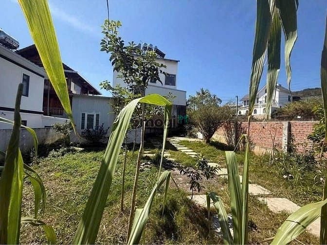 Đất Biệt thự Đa Phú Đà Lạt 250m² – Sổ hồng chính chủ, tiềm năng lớn!