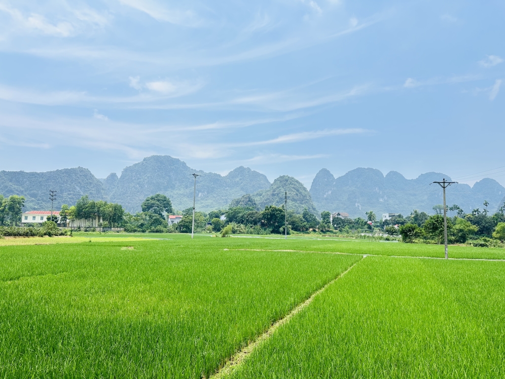 Đất nền Lương Sơn 763m² - Mặt tiền 12m, view đồng đẹp, sẵn sổ