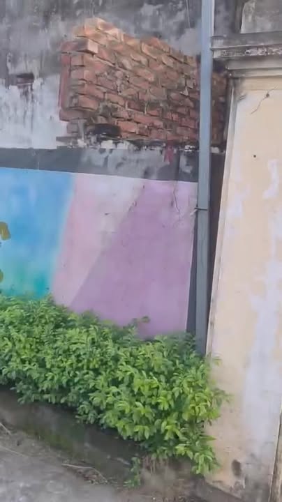 Đất nền Phúc Cẩm Yên Lạc 87m² giá 1.6 tỷ - Sổ đỏ chính chủ