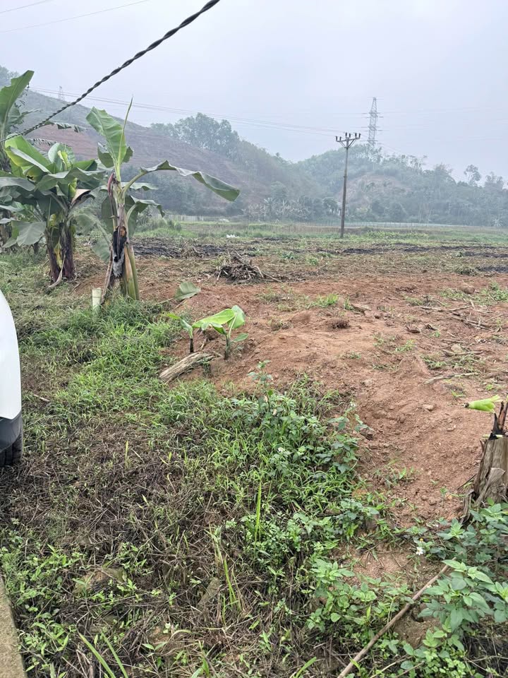 Đất Ruộng Thành Phố Yên Bái 700m² giá 300 triệu - Ô tô vào tận nơi!