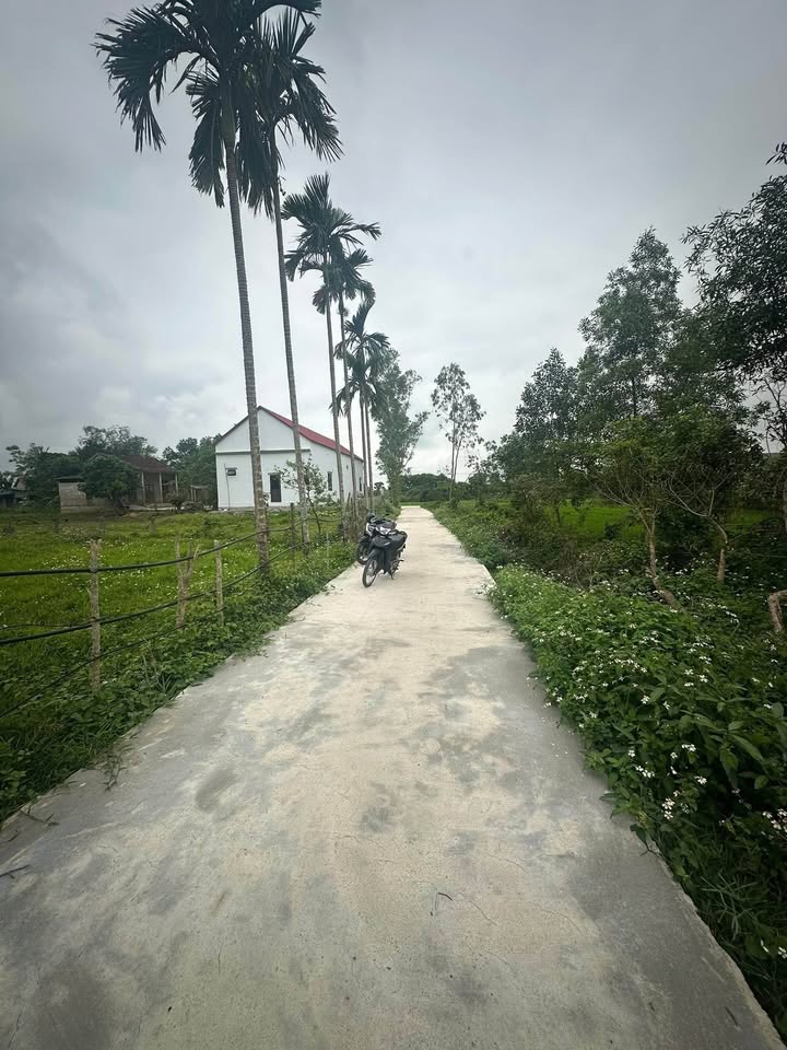 Đất nền Thanh An Cam Lộ 126m² - Tiềm năng tăng giá vượt trội!