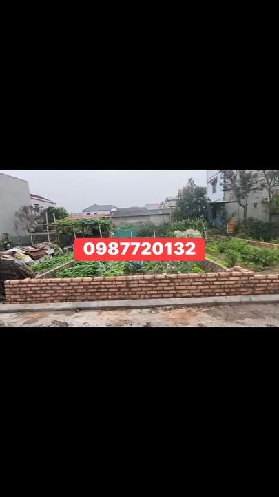 Đất nền Lỗ Giao Đông Anh 58m² hơn 6 tỷ - Sổ đỏ chính chủ!