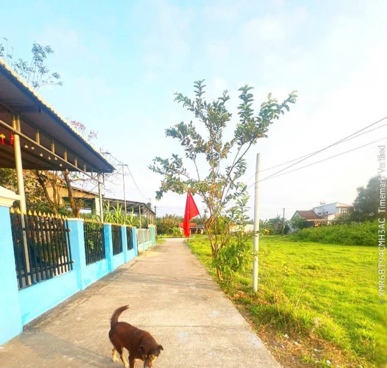 Đất nền Đại Lộc Quảng Nam 140m² giá 7xx triệu - Pháp lý rõ ràng