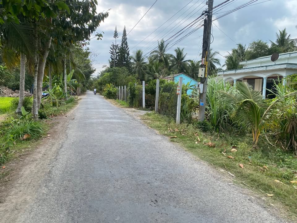 Đất ruộng vườn dừa 3.6ha Tân An Hội, Vĩnh Long – Cơ hội đầu tư dài hạn!