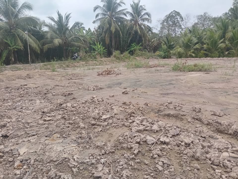 Đất nền Tân An Hội Vĩnh Long 200m² giá 370 triệu - Sổ đỏ chính chủ!