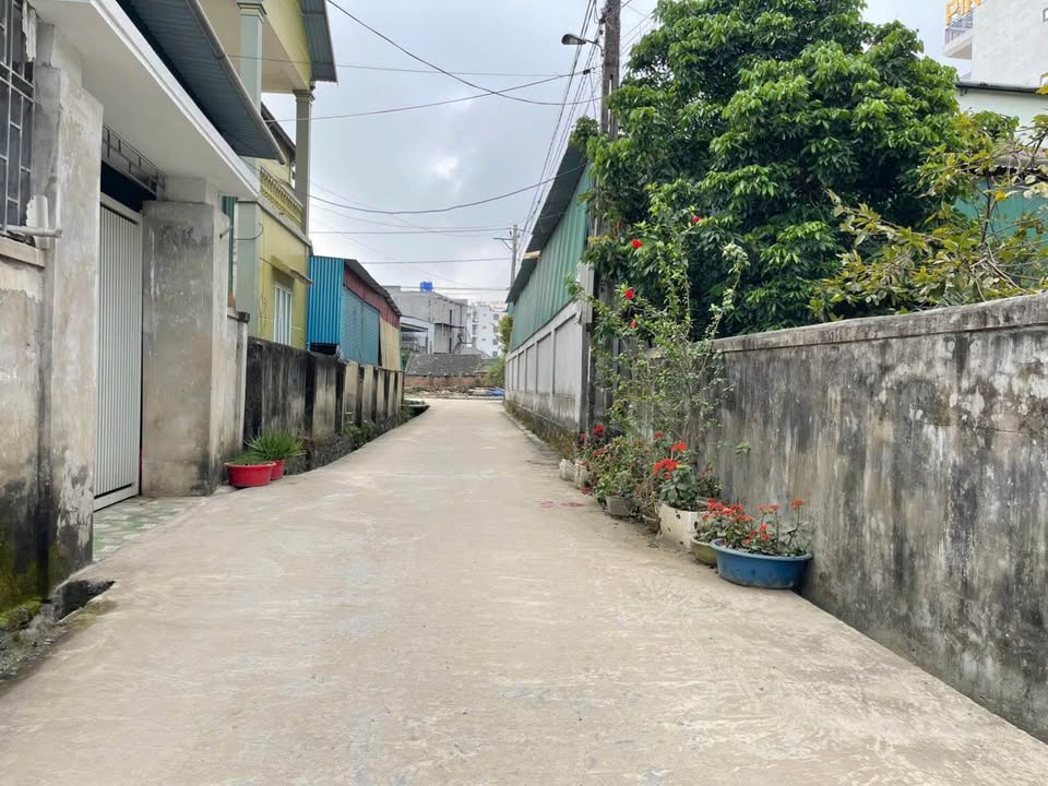 Bán Đất Chính Chủ 134m² Thị Trấn Hưng Nguyên - Sát KCN VSIP, Giá Tốt